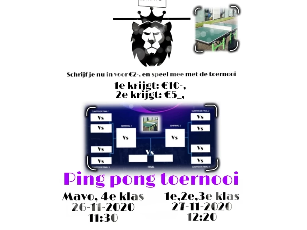 Organiseren van een Ping Pong Toernooi